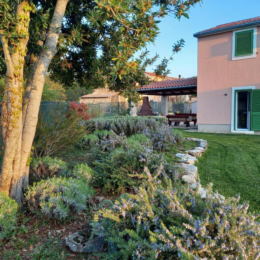 Villa Malini Groznjan Bagian luar foto