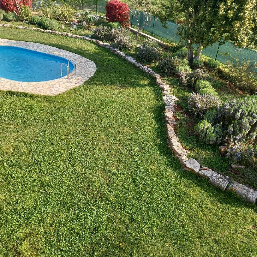 Villa Malini Groznjan Bagian luar foto