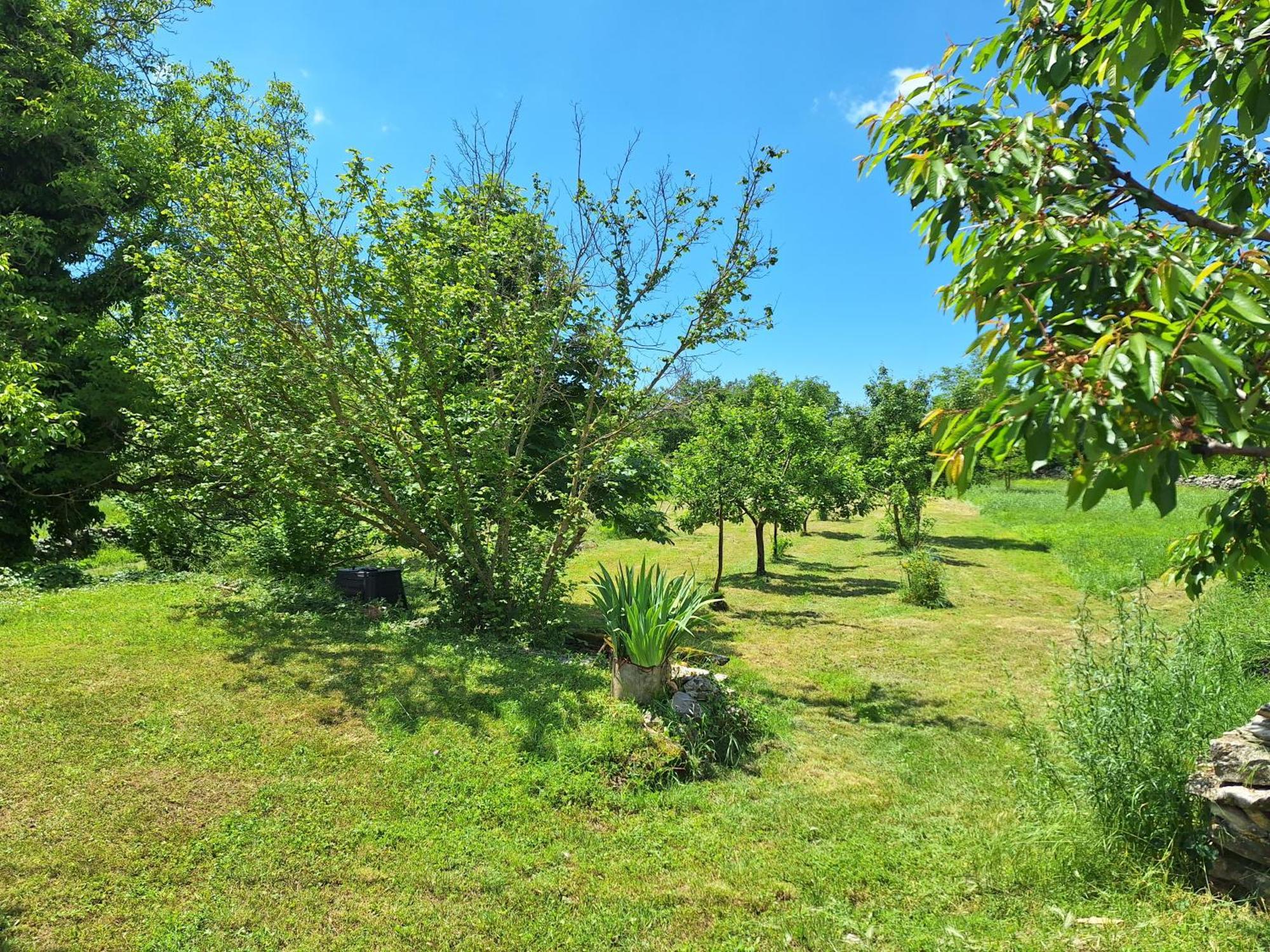 Villa Malini Groznjan Bagian luar foto