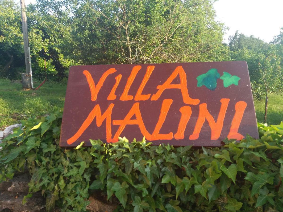 Villa Malini Groznjan Bagian luar foto
